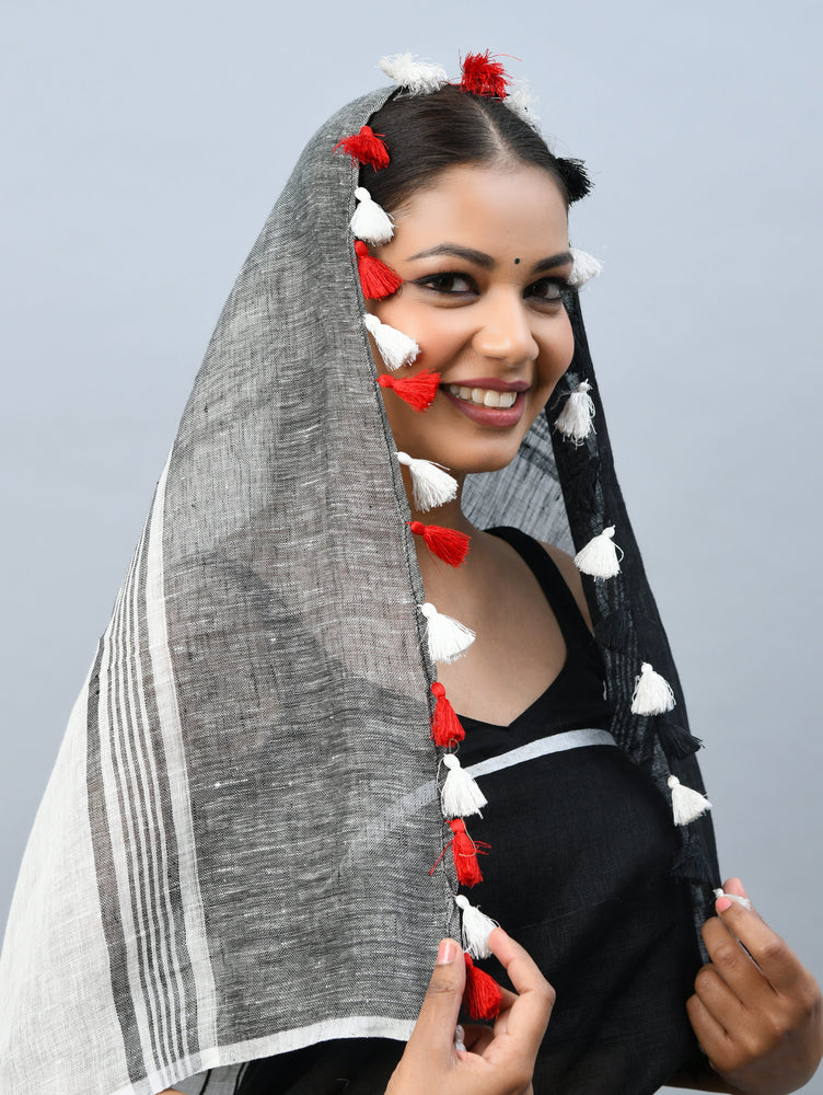 Grey and Black Linen Saree with Multicolored Thread Embroidery