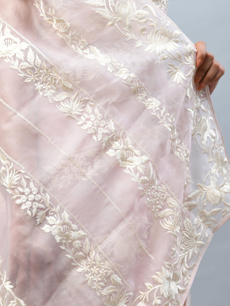Baby Pink Organza Saree with Cream Resham Embroidery