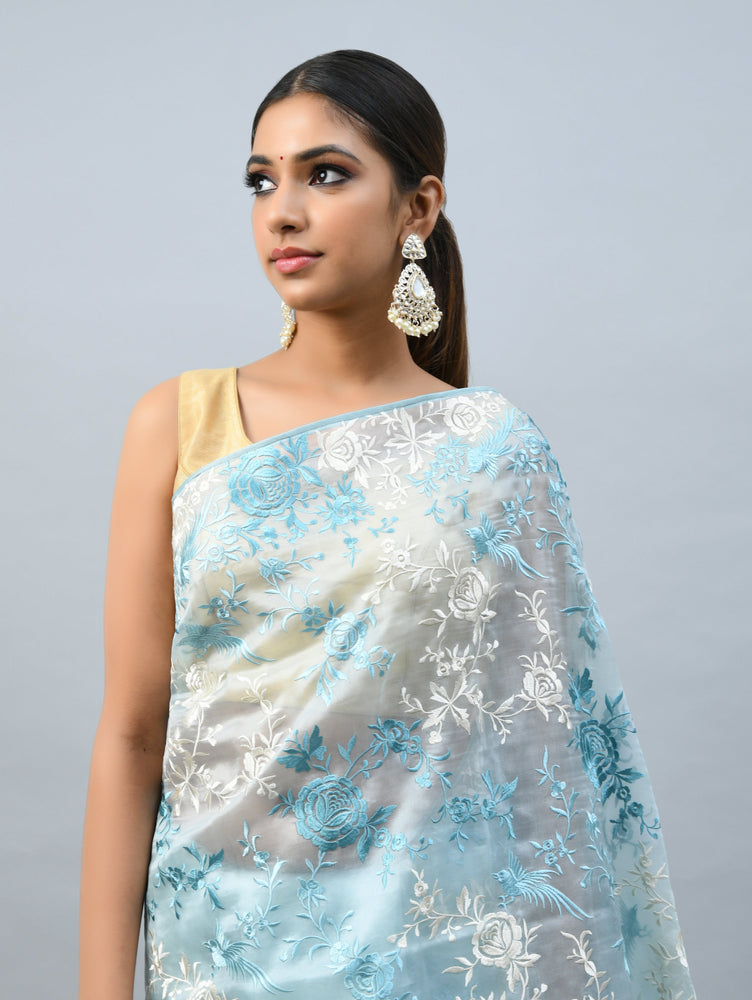 Sky Blue Organza Saree with Thread Embroidery